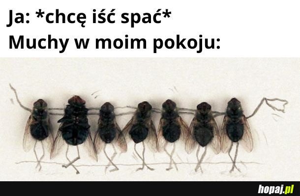 Muchy