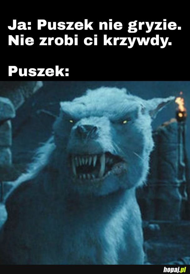 Puszek Okruszek