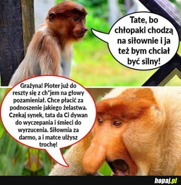 Pioter wybiera się na siłownię xD