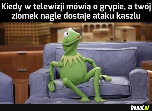 Przypadek