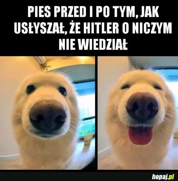 NIE WIEDZIAŁ!