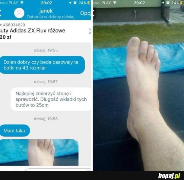 Dzień dobry czy pasuje 