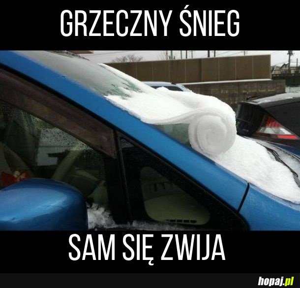 Śnieg