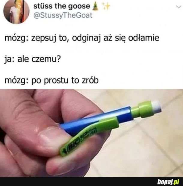 Ja vs mózg