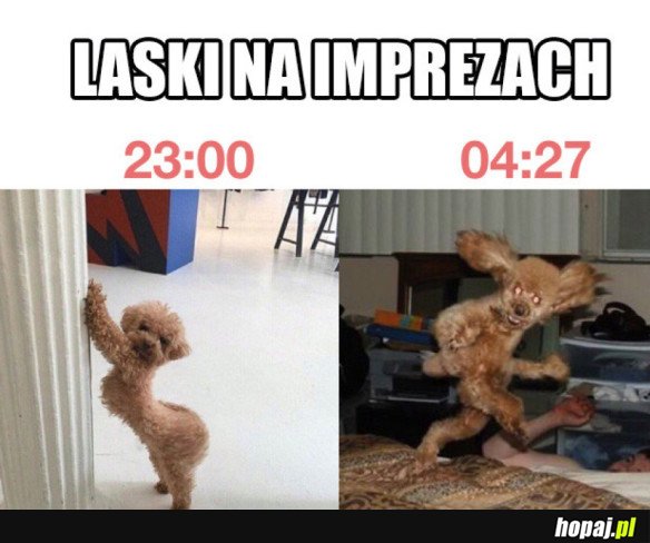 Laski na imprezach