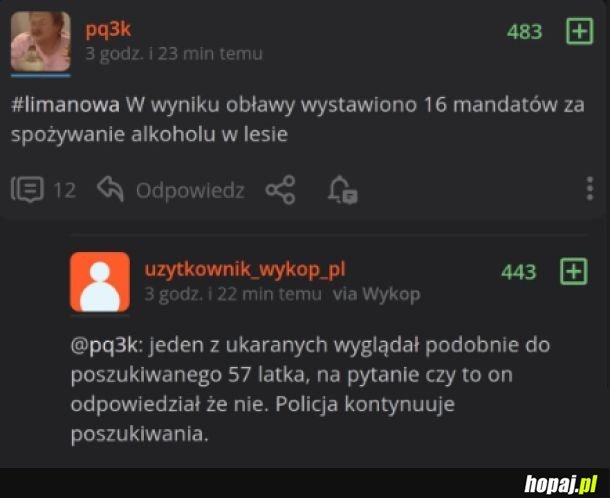 Pierwsze sukcesy policji