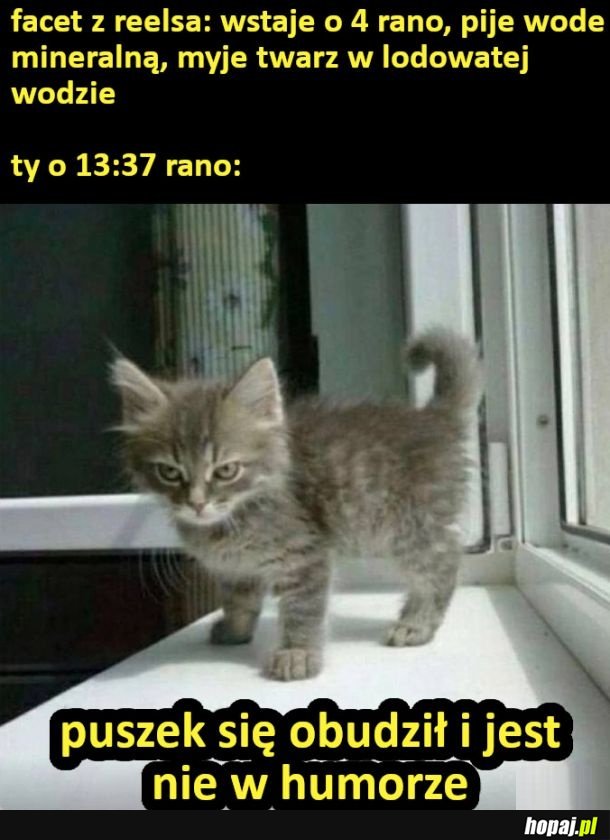 Za wcześnie wstałeś