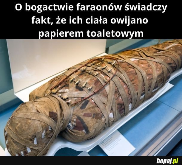 Bogactwo!