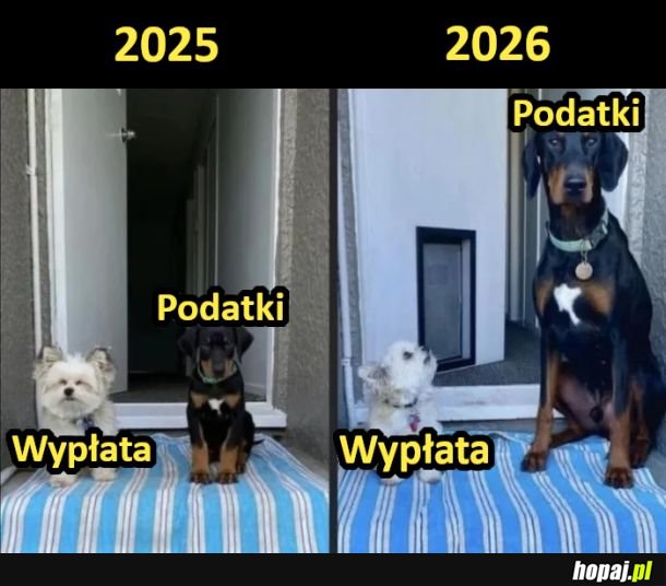 Tak tu się żyje