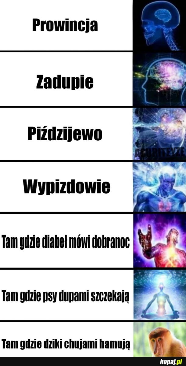 Stan Polskości