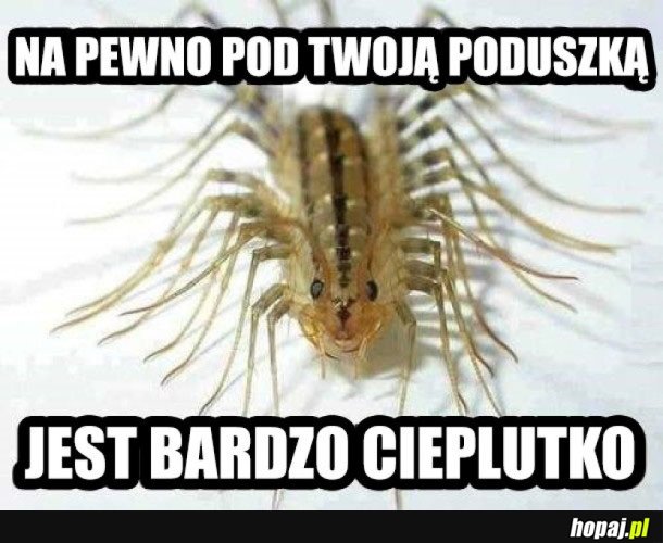 NA PEWNO BĘDZIE