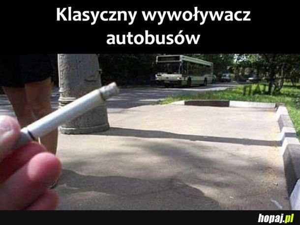 Wywoływacz