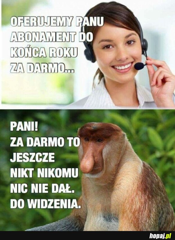 ABONAMENT DO KOŃCA ROKU