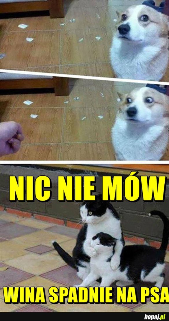 Nic nie mów