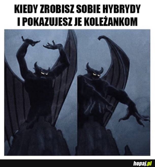 TRZEBA SIĘ POCHWALIĆ