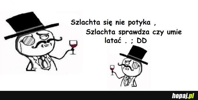 Szlachta się nie potyka