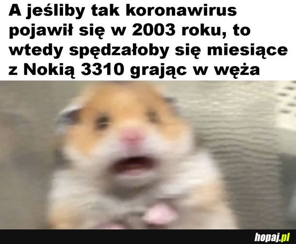 Granie w węża