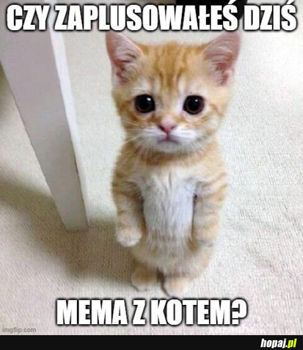 Właśnie xd