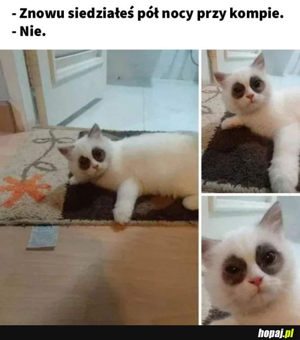 Wcale nie.