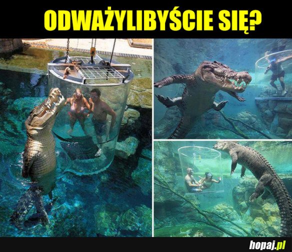 JA BYM SIĘ BAŁ