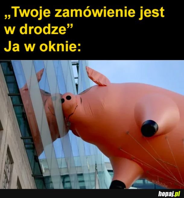 Zamówienie