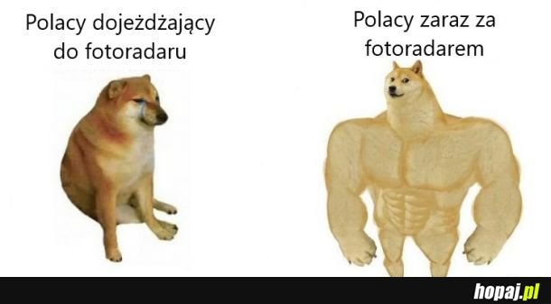 Fotoradar taki straszny