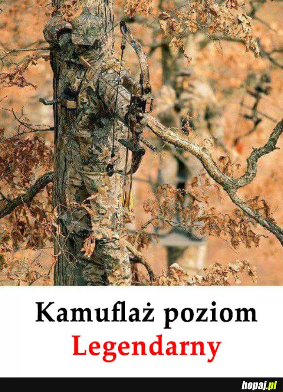 MISTRZOWSKI KAMUFLAŻ