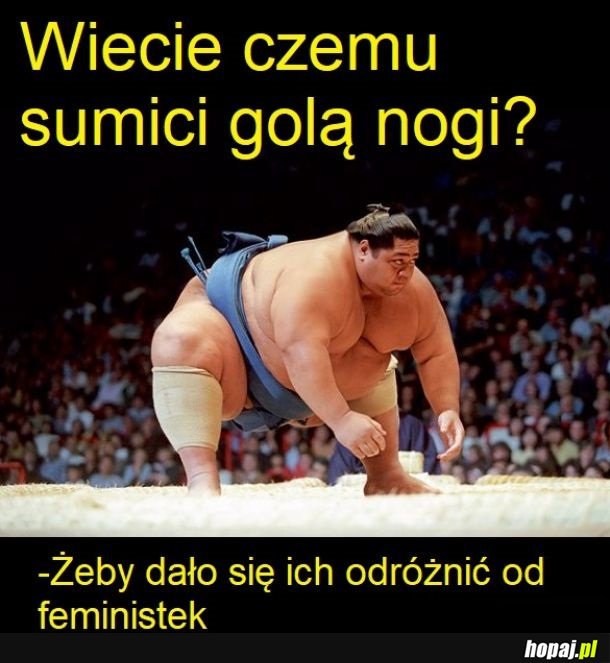 Zagadka na dziś