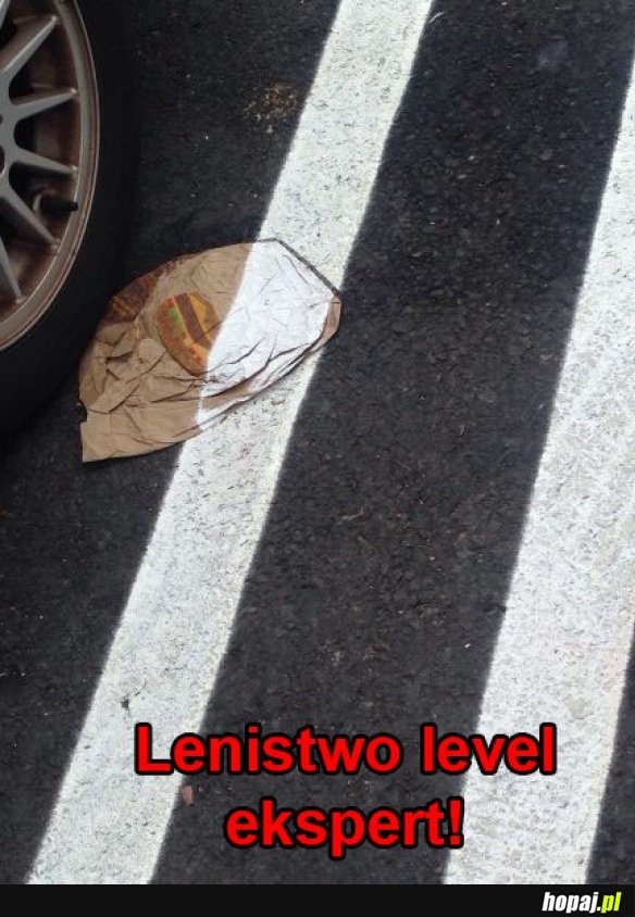 Lenistwo