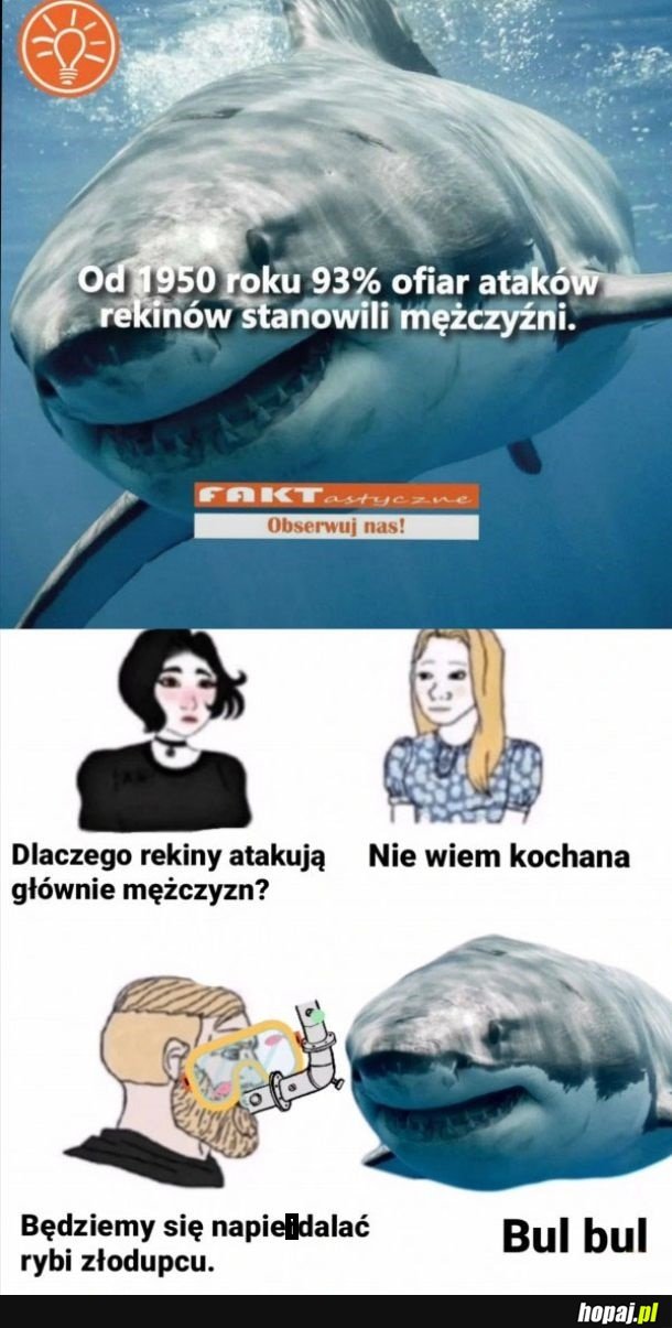 Rekiny vs mężczyźni