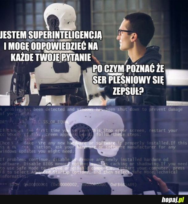 Inteligencja