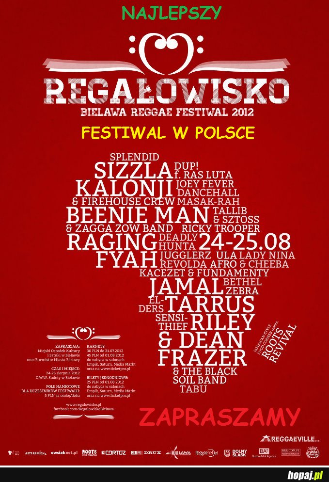 Festiwal w Bielawie :)