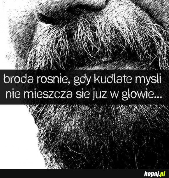 Kiedy rośnie broda?