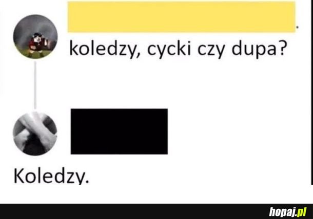 Koledzy