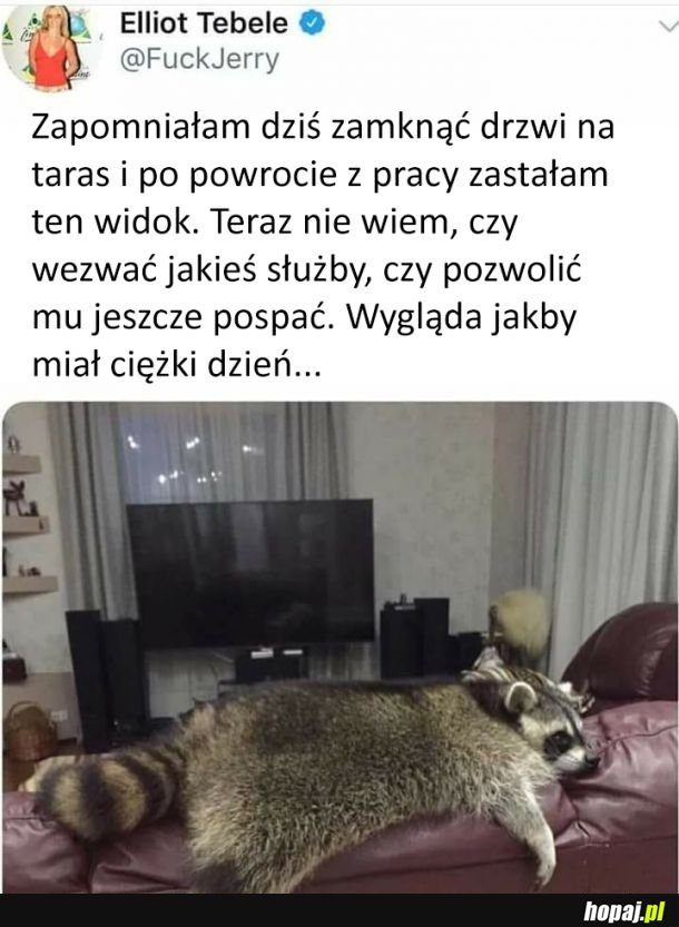 Szopepe miał ciężki dzień