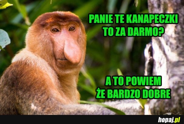 DOBRE KANAPKI