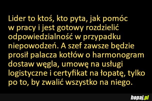 Różnica między liderem a szefem