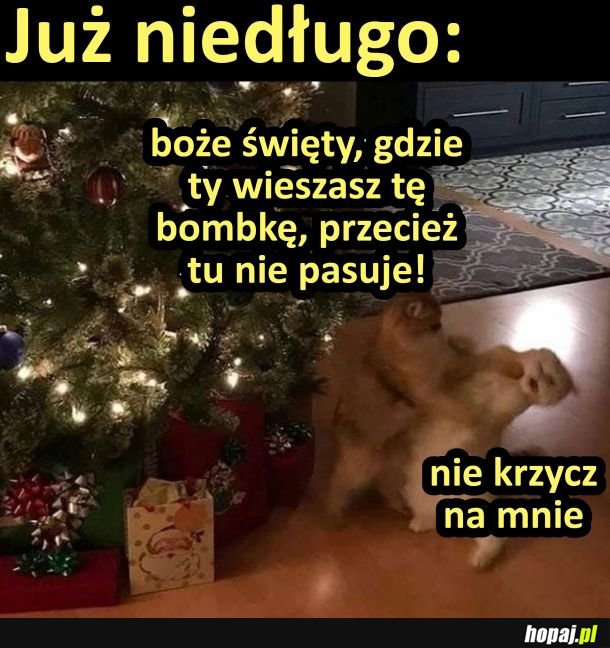 Już niedługo