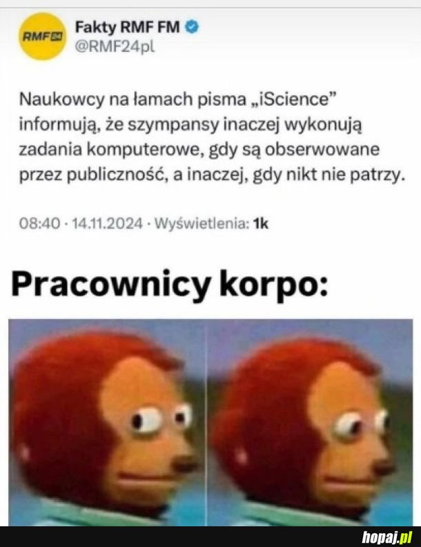 Patrzenie