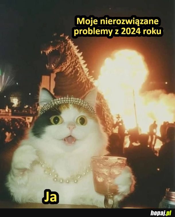 Problemy z 2024