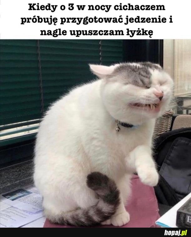 Gracja to moje drugie imię