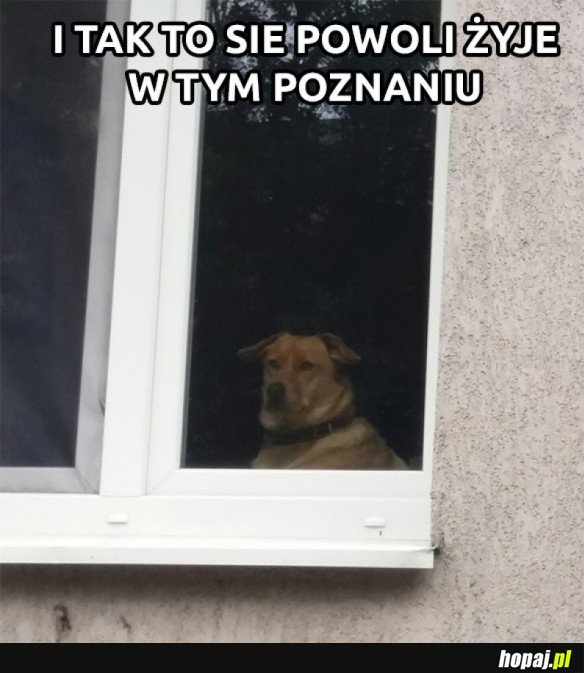 Życie