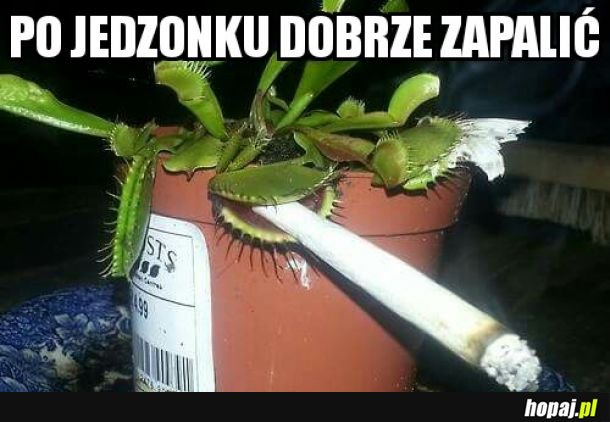 Po jedzonku...