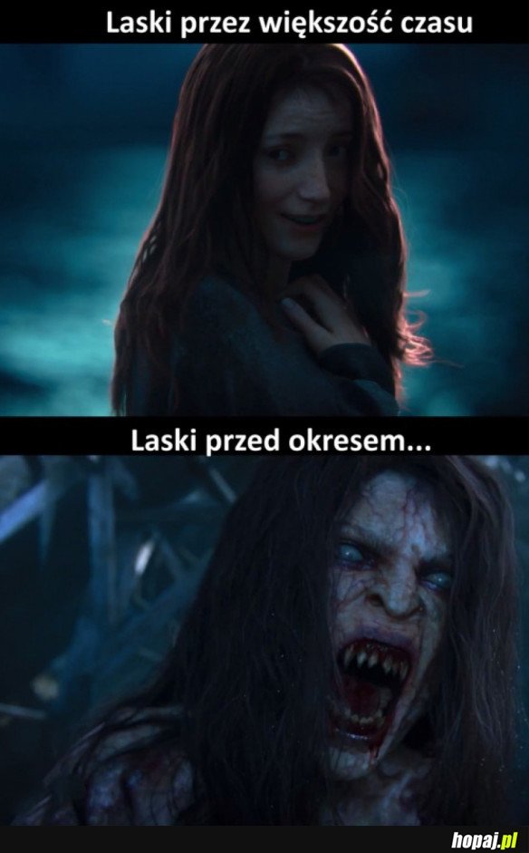 LASKI TAKIE SĄ