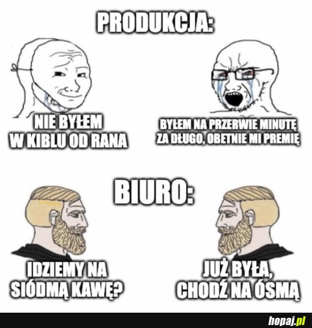 Tak to właśnie wygląda