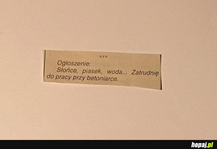 Słońce, piasek, woda... wymarzona praca