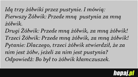 Idą trzy żółwiki przez pustynie...