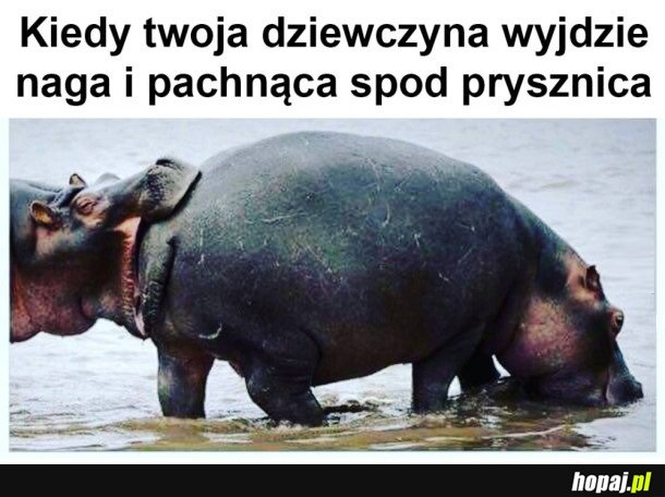 O TAK KOCHANIE