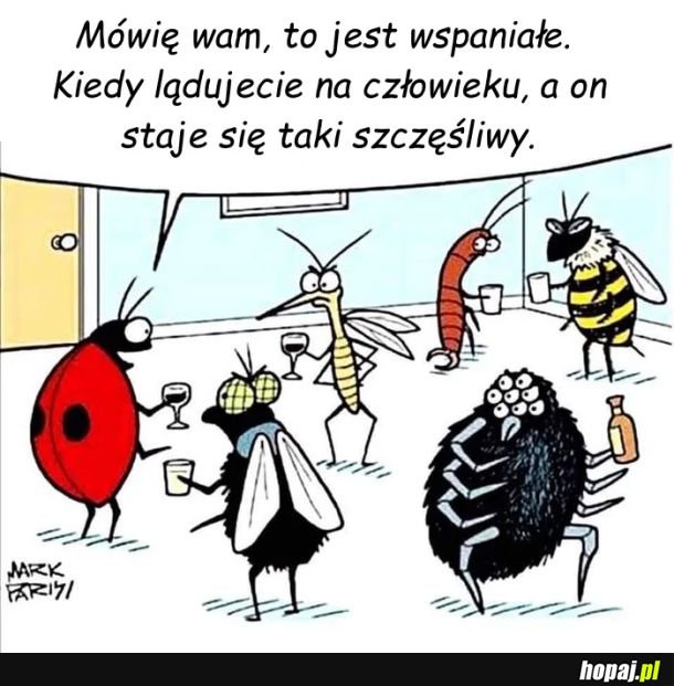 Bo biedronki przynoszą szczęście