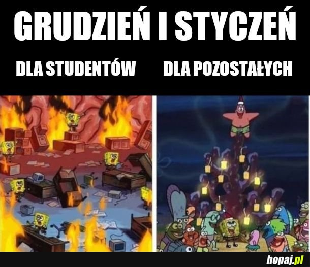 Tak to wyglada bo sie nie uczysz